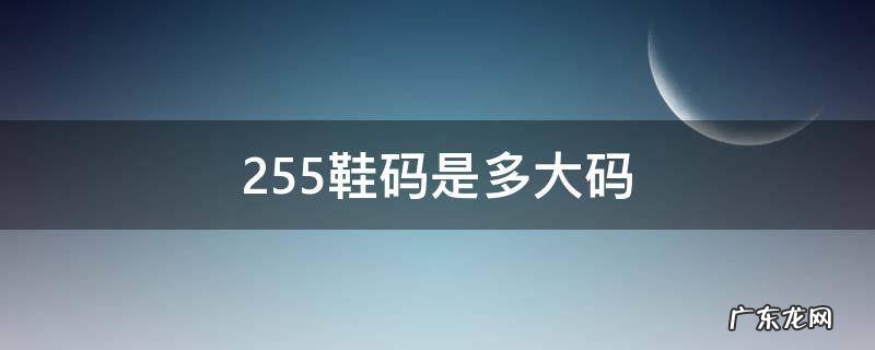 255鞋码是多大码女鞋 255鞋码是多大码