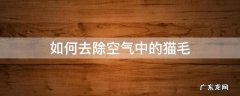 怎么吸附空气里的猫毛 如何去除空气中的猫毛