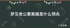 梦见老公要离婚是什么预兆 梦见老公要离婚是什么预兆周公解梦