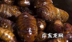 吃蝉蛹有什么好处 金蝉蛹的营养价值及功效