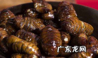 蝉蛹的营养价值 蝉蛹的营养价值和食用禁忌