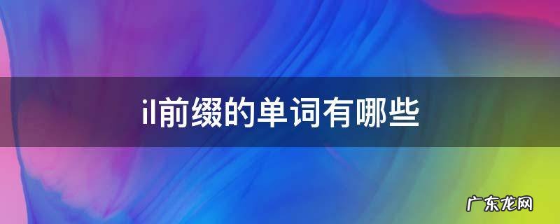 以il为前缀的单词及意思 il前缀的单词有哪些