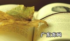 汤姆索亚历险记的作者是谁 汤姆索亚历险记的作者是谁简介