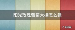阳光玫瑰葡萄用大棚栽种如何 阳光玫瑰葡萄大棚怎么建