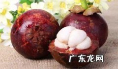 山竹不能和什么一起吃? 山竹不能和什么一起吃