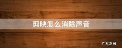 剪映如何消除声音 剪映怎么消除声音