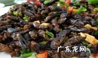 蝉蛹和蚕蛹的区别 蝉蛹和蚕蛹的区别功效