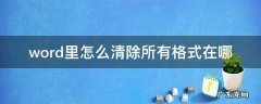 word里怎么清除所有格式在哪 word2010中清除所有格式在哪里