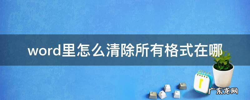 word里怎么清除所有格式在哪 word2010中清除所有格式在哪里