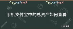 手机支付宝中的总资产如何查看 手机支付宝中的总资产如何查看账单