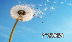 2020朋友圈早安激励语 朋友圈早安激励语2020年