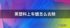 汽车黑塑料上的蜡怎么去除 黑塑料上车蜡怎么去除