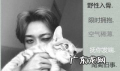 2020年昵称男生简短好听 2020昵称男生简短好听