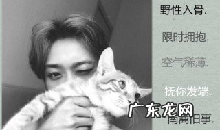 2020年昵称男生简短好听 2020昵称男生简短好听