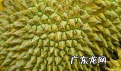 女性吃榴莲最佳时间 吃榴莲最佳时间