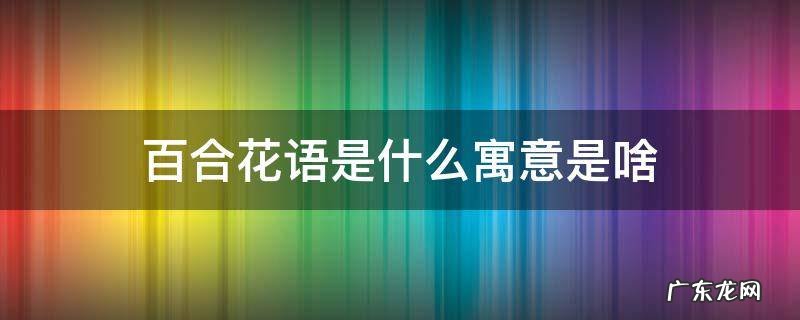 百合花语是什么寓意是啥 百合的寓意是什么花语又是什么