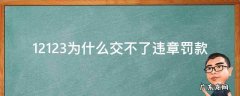 12123上为啥交不了违章罚款 12123为什么交不了违章罚款