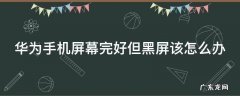 华为手机屏幕黑屏怎么办呢 华为手机屏幕完好但黑屏该怎么办