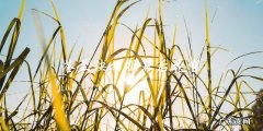 苍兰诀拍摄幕后花絮
