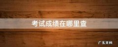 考试成绩在哪里查询 考试成绩在哪里查