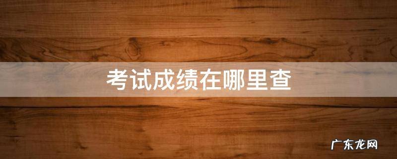 考试成绩在哪里查询 考试成绩在哪里查