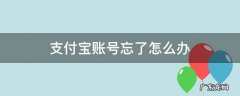 支付宝号忘记了怎么办啊 支付宝账号忘了怎么办