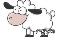 保护生物多样性手抄报内容 国际生物多样性日手抄报内容