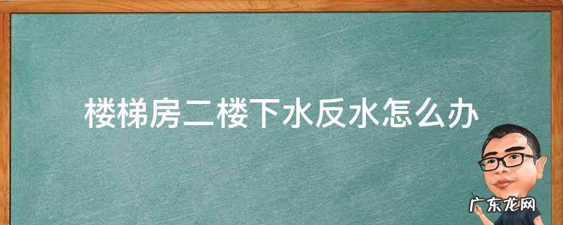 楼梯房2楼反水 楼梯房二楼下水反水怎么办