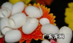 蚕茧怎么处理视频 蚕茧怎么处理