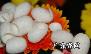 蚕茧怎么处理视频 蚕茧怎么处理