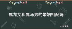 属龙女和属马男的婚姻相配吗 属龙女和属马的男性相配吗