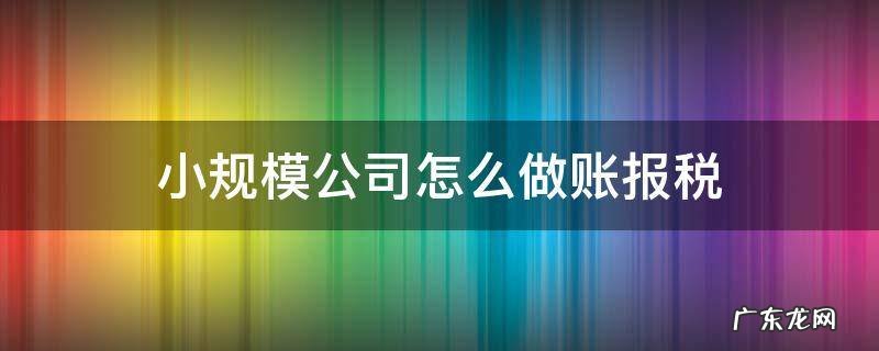 小规模公司怎么做账报税 小规模公司如何做账?