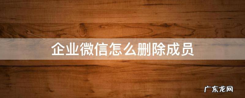 企业微信怎么删除成员 企业微信怎样删除成员