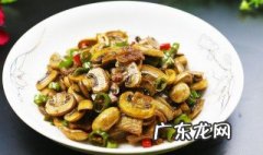 蘑菇怎么炒好吃 蘑菇怎么炒好吃又简单视频