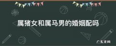 属猪女和属马的男婚姻相配吗? 属猪女和属马男的婚姻配吗