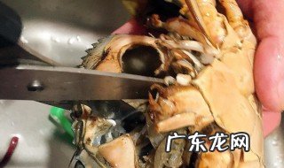 香辣蟹怎么处理螃蟹 怎么处理螃蟹
