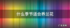 兰花这个季节怎么养 什么季节适合养兰花