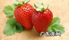 草莓叶子蔫了是不是种不活了 草莓的叶子焉了怎么办