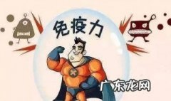 免疫力低下怎么调理 吃什么补免疫力最快