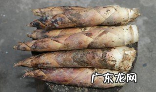 怎么处理笋 怎么处理笋子好吃