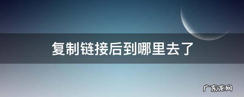 复制链接后到哪里去了 打开 复制链接后到哪里去了