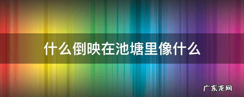 什么倒映在池塘里像什么 什么倒映在池塘里像什么二年级