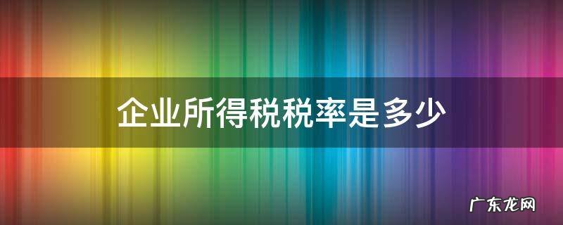 企业所得税的税负率多少合适 企业所得税税率是多少