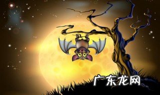 如果蝙蝠在家里搭窝了怎么办 蝙蝠搭窝怎么办