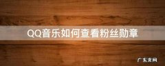 QQ音乐怎么看勋章 QQ音乐如何查看粉丝勋章