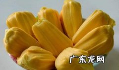 菠萝蜜不粘是为什么 菠萝蜜不黏是不是坏了