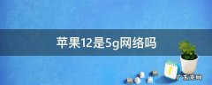 苹果12是5g网络吗 苹果12是5g网?