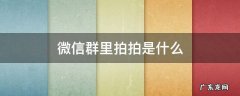 微信群里的拍拍是怎么回事 微信群里拍拍是什么