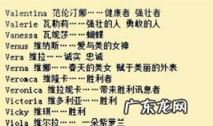 寓意好的英文微信昵称 寓意好的英文微信昵称带翻译