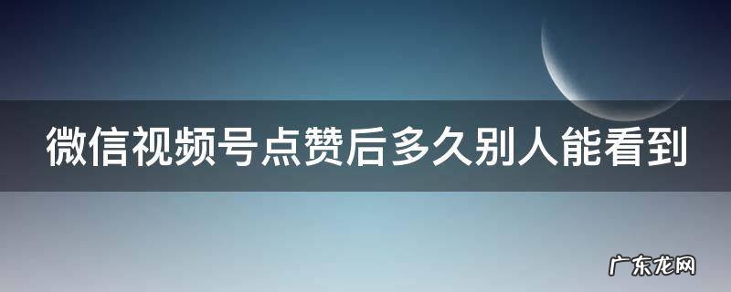 微信视频号点赞后多久别人能看到 微信视频号点赞后多久朋友能看到
